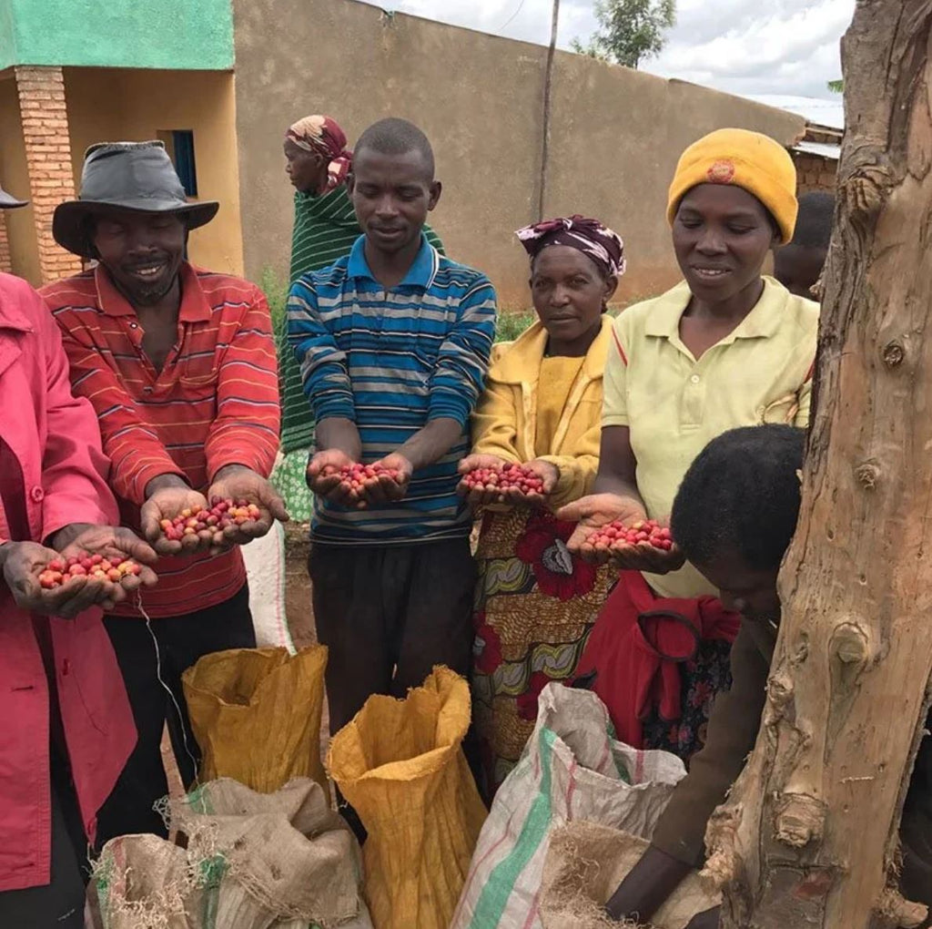 Rwanda, Kinini Natural - Anonymous Coffee