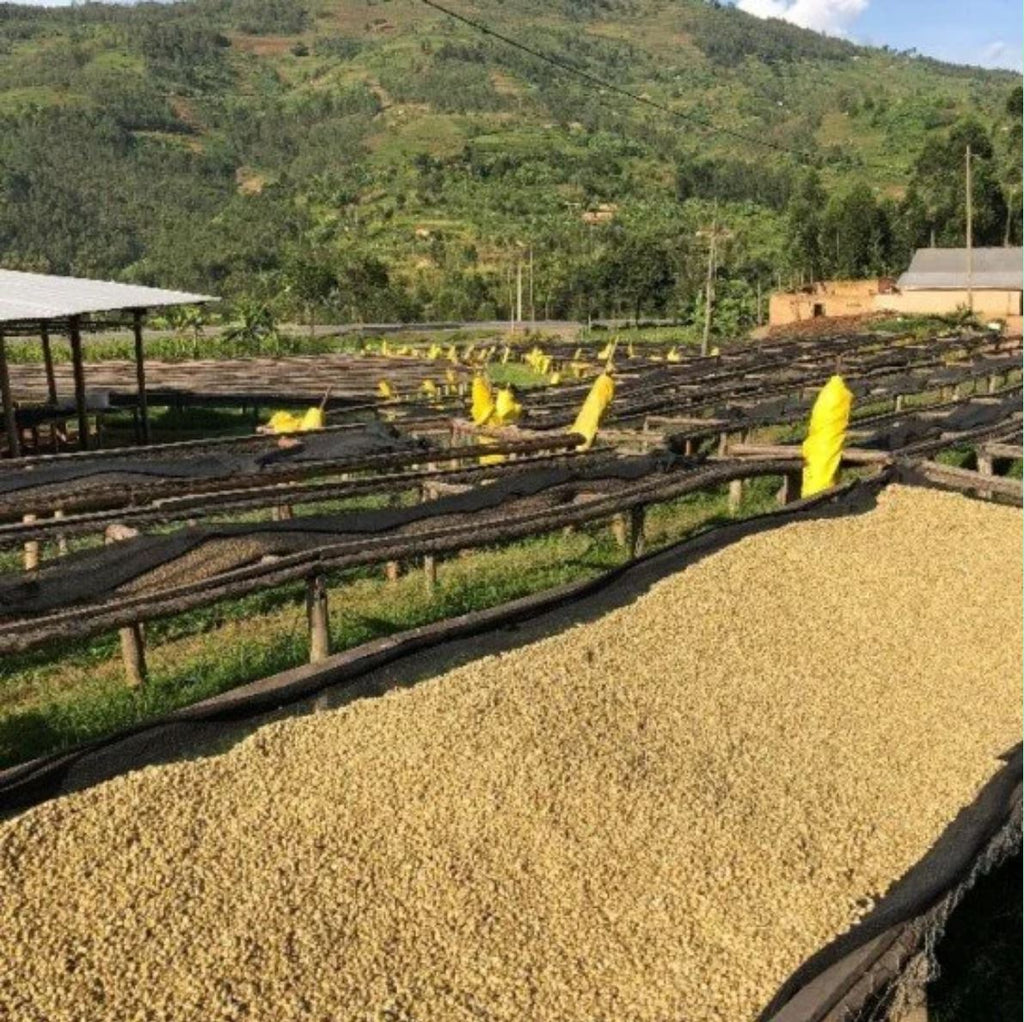 Rwanda, Kinini Natural - Anonymous Coffee