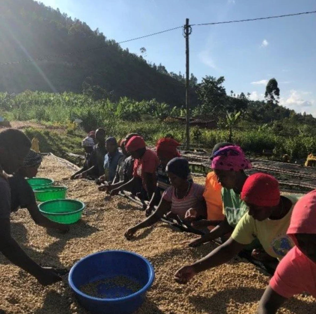 Rwanda, Kinini Natural - Anonymous Coffee